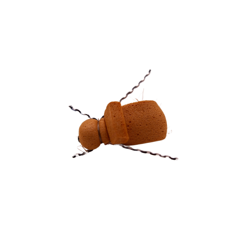 Segment Beetle Foam