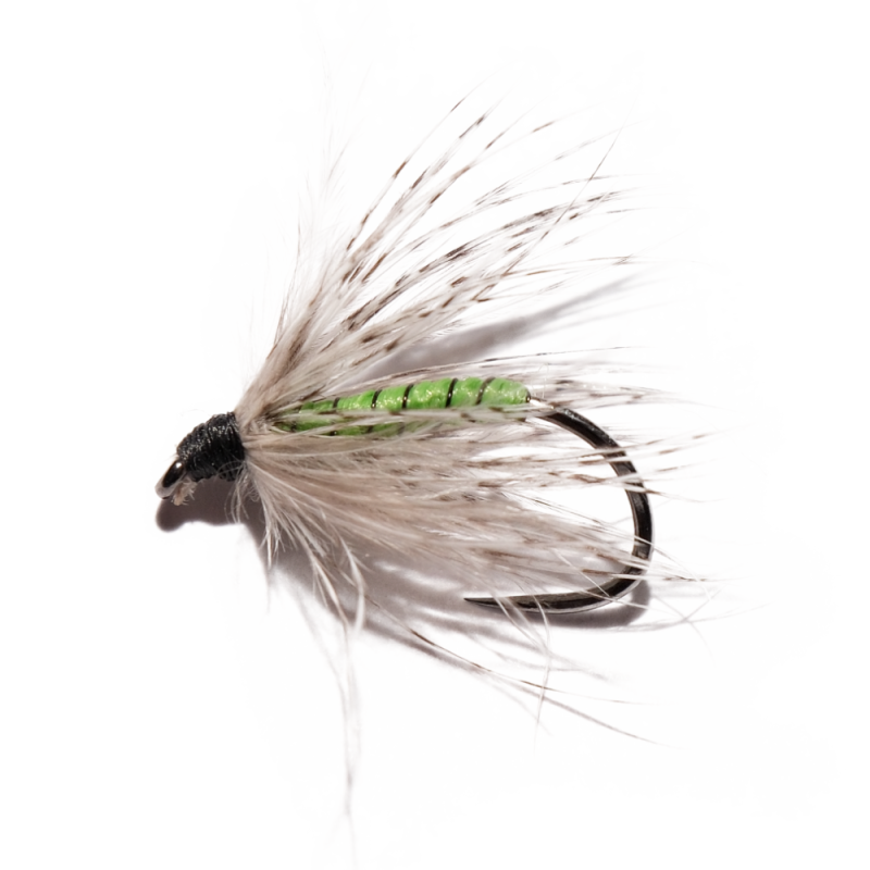 Partridge Green Silk Wet