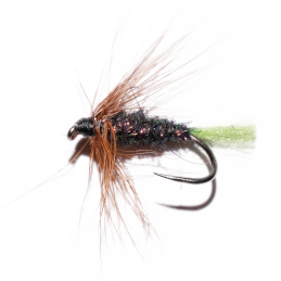 Brown Hackle Wet