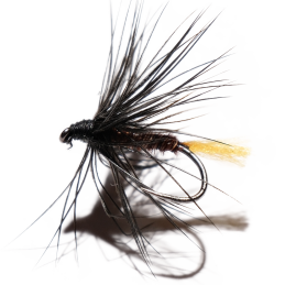 Black Yellow Tail Wet Fly