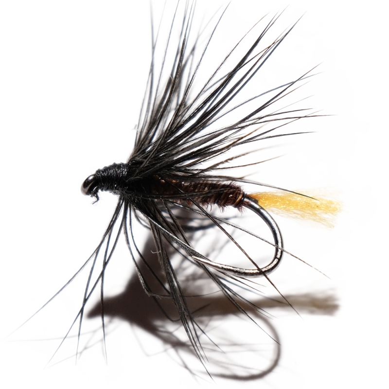 Black Yellow Tail Wet Fly