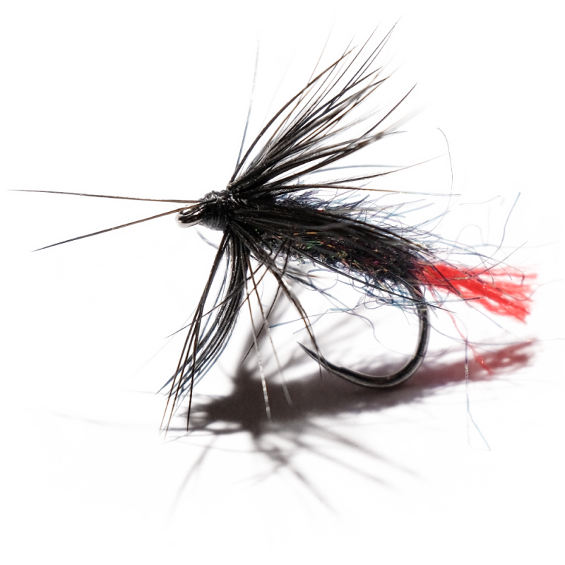 Black Red Tag Wet Fly