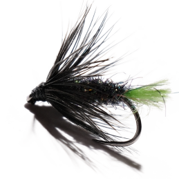 Black Green Tag Wet Fly