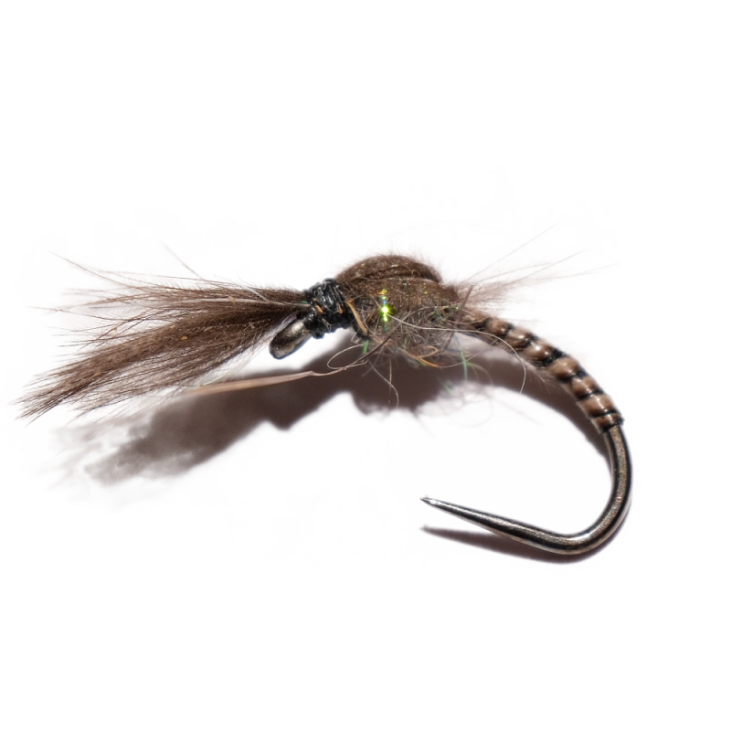 Peacock Quill Emerger