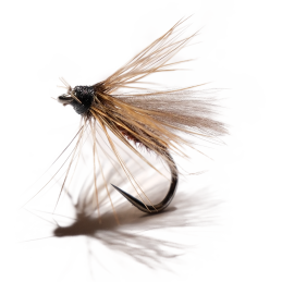 Gray CDC & Jeżynka Wet Fly