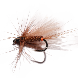 Red Tag Pheasant & CDC Wet Fly