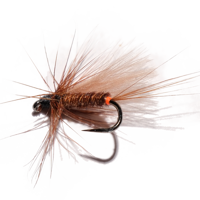 Red Tag Pheasant & CDC Wet Fly