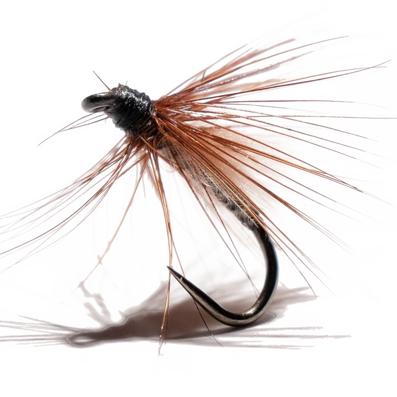 Peacock Quill Wet Fly