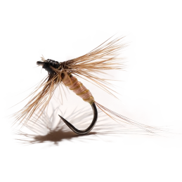 Dark Cream Mayfly Grizzly