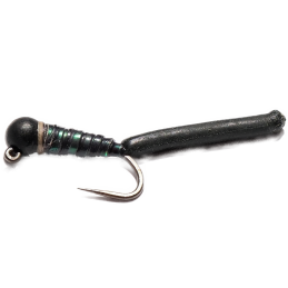 Parkinson Black Nymph