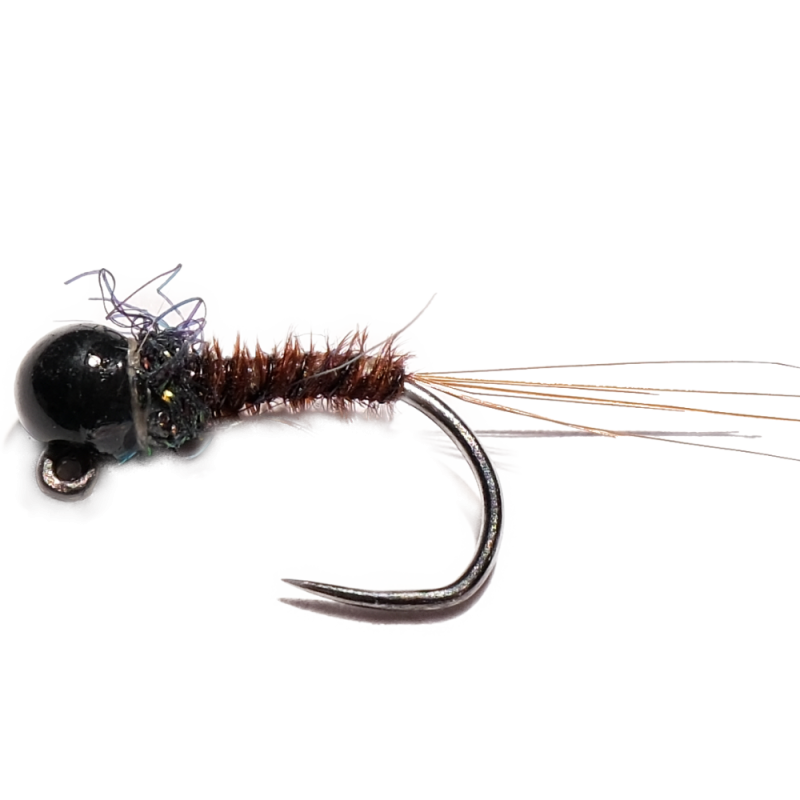 Brown Pheasant Nymph with Black Collar